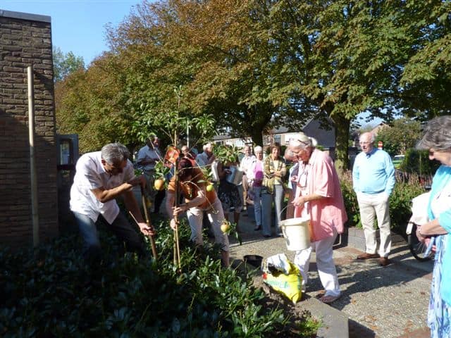 Planten appelboompje